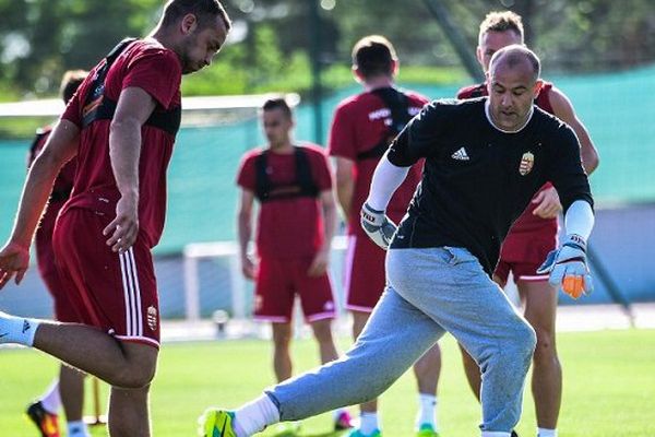 "Les Hongrois sont dans un contexte hyper relax", selon Marc Wilmots, le sélectionneur des Belges. 