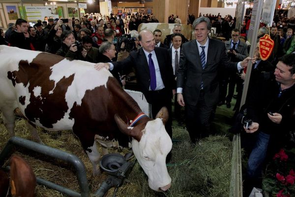 Pierre Moscovici et Stéphane Le Foll au salon de l'agriculture 2013