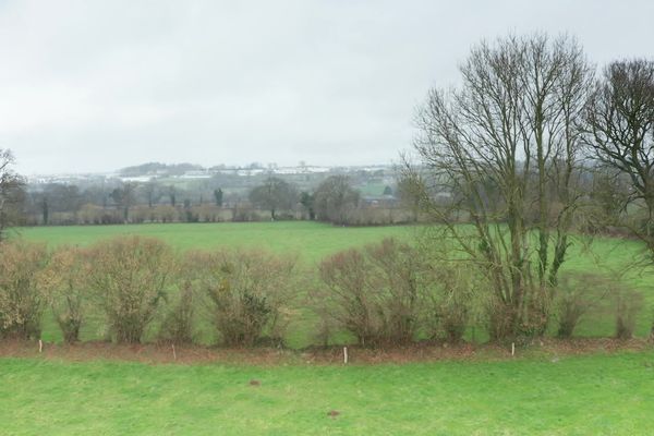 Le Parc naturel et Geopark Normandie-Maine encourage la plantation de haies.