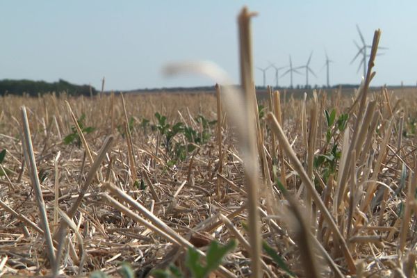 La situation en Côte-d'Or et dans l'Yonne se sont aggravées lors de ce mois de juin. La sécheresse pousse les préfectures à déclarer de nouveaux niveaux d'alerte.