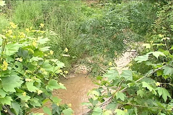 A Brive, un homme a été découvert mort dans ce cours d'eau, le 1er juin. Il était porté disparu depuis quelques jours
