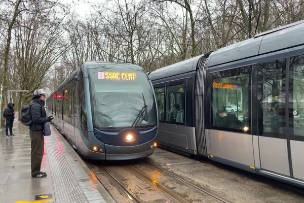 146 altercations entre personnes ont eu lieu en 2024 sur le réseau de transports bordelais, TBM.