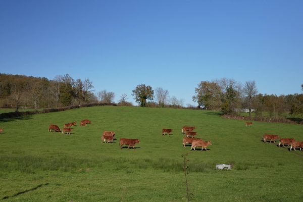 À Saint-Martial-le-Mont, en Creuse, le circuit de récupération d'eau de pluie se termine par un abreuvoir. Celle-ci est mise à la disposition d’un agriculteur pour le bétail.