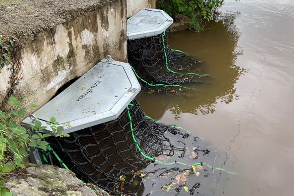 Sur les bords de Vienne, ces filets vont capter les déchets issus des eaux usées et pluviales de la ville.