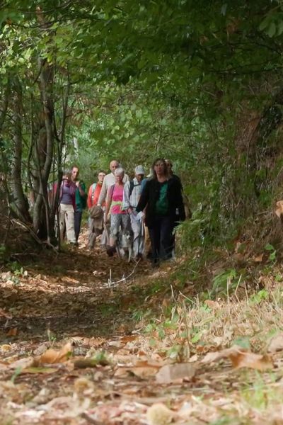 Les chemins du Morvan, paradis pour les randonneurs, une activité rendue possible grâce aux bénévoles qui les entretiennent