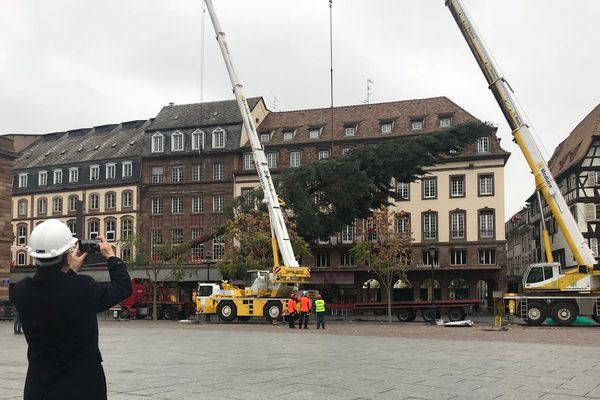 Le sapin 2018 mesure 30 mètres.