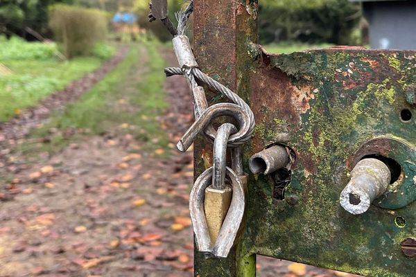 Le cadenas à l'entrée du centre de soins de Picardie faune sauvage a été forcé.