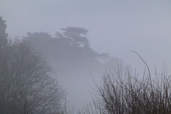 Après les brumes matinales (comme ce samedi), le ciel devrait rester gris sur la région