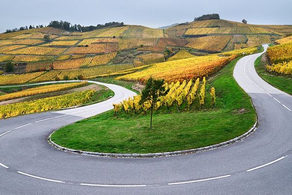 Entre Turckheim et Niedermorschwihr - 24 octobre 2012