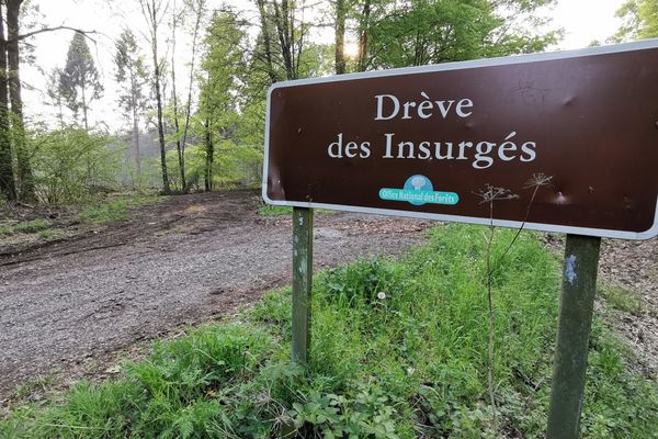 La Drève des Insurgés, en forêt de Saint-Amand, à proximité du lieu où a été découvert l'obus.