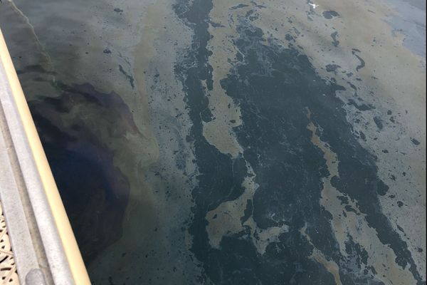 Du gazole est visible en surface dans le port du Frioul depuis ce matin.