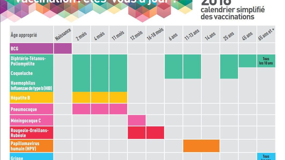 Les Vaccins Pour Enfants Gratuits Et Obligatoires