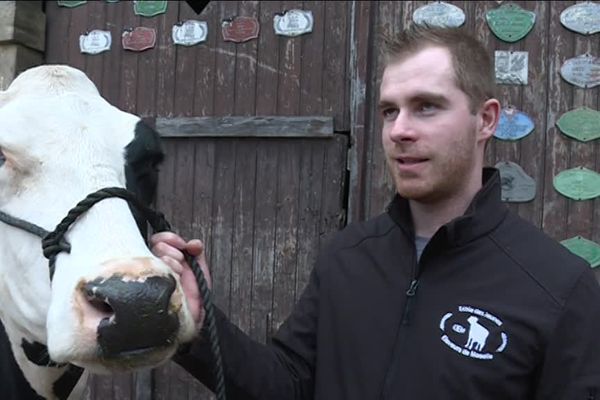 A Narbéfontaine (Moselle) Laurent Wagner est l'accompagnateur de Suz-Jiza une vache Prim Holstein qui défilera au salon de l'agriculture à Paris.