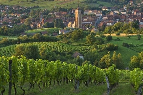 Les saveurs du Jura, et notamment le vin de paille, sont à découvrir ce soir à partir de 20h45 dans "Des Racines et des Ailes"