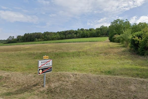 Les vignes s'étendant au nord de Buxières-sur-Arce.