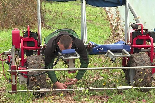 Pour soulager les maraîchers, des machines ergonomiques sont proposées.