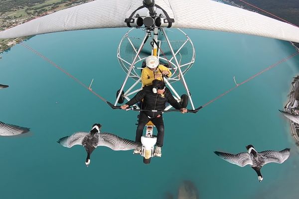 Dominique Cruciani vole avec ses oies au dessus du lac d'Annecy.