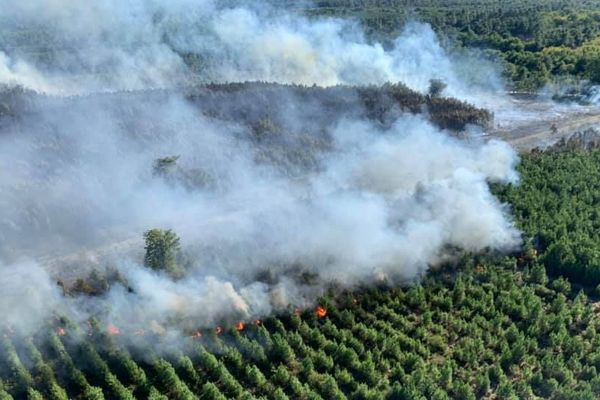 Vue aérienne de la forêt de Bédenac depuis l'hélicoptère Dragon 17 de la Sécurité Civile de Charente-Maritime.