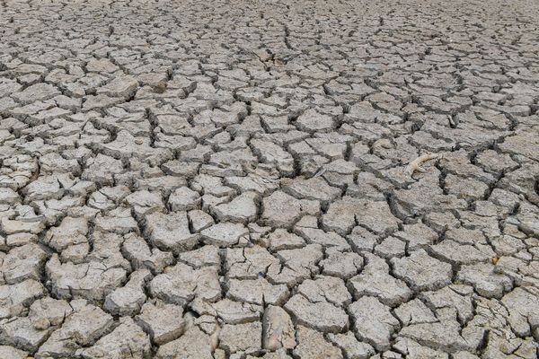 Le débit de nombreux cours d'eau de Haute-Loire a considérablement diminué suite aux températures caniculaires des mois de juillet et d'août, après l'été le plus chaud jamais connu depuis 2003.