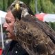 Le spectacle de rapaces prévu bientôt à Clermont-Ferrand suscite la polémique, pour une association de défense des animaux. Guillaume Roche ne compte pas pour autant se laisser faire.