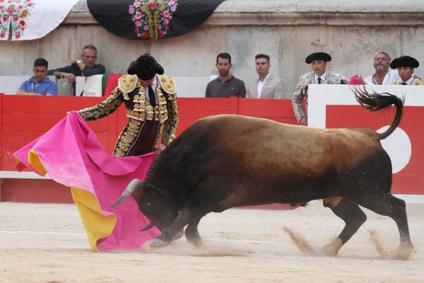 Féria des vendanges 2019 à Nîmes dans le Gard