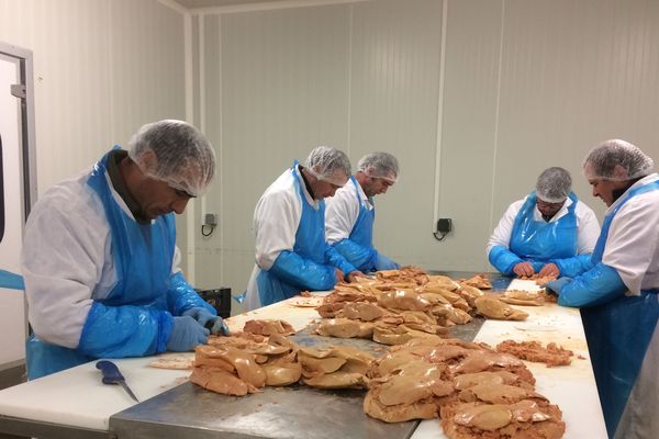 La production de foie gras dans l’entreprise Morille à Augé dans les Deux-Sèvres