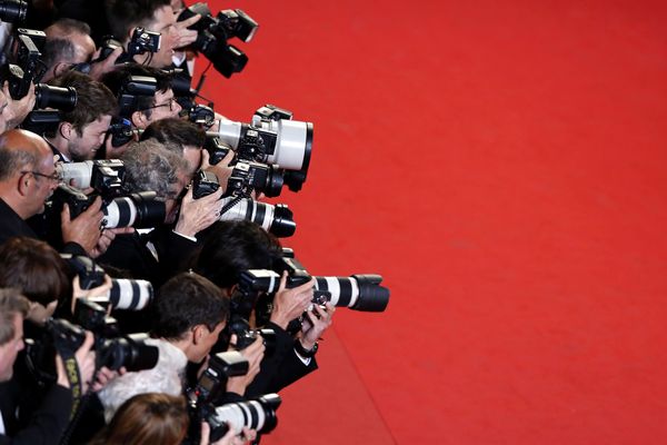 Même si le Festival de cannes n'a pas lieu en 2020 en raison de la pandémie de coronavirus, une sélection de 56 films bénéficiera du "label" Cannes.