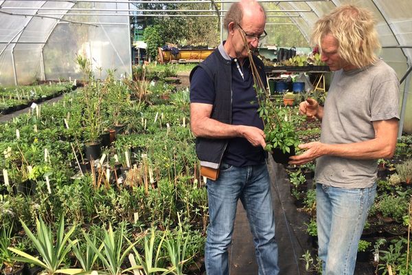 Ce producteur de Saint-Hilaire les Places (à droite) participe traditionnellement à la journée des plantes de Nexon.