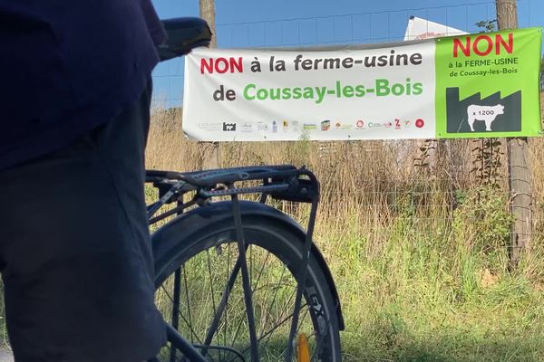 La ferme-usine de Coussay-les-Bois doit accueillir 1 200 taurillons à l'automne