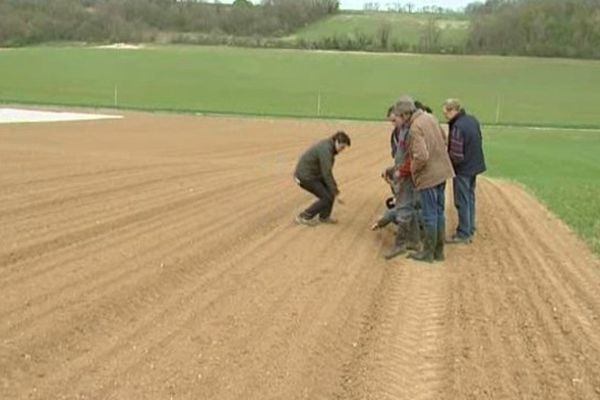 Oise : les agriculteurs partagent leur savoir dans le domaine de l'agriculture biologique