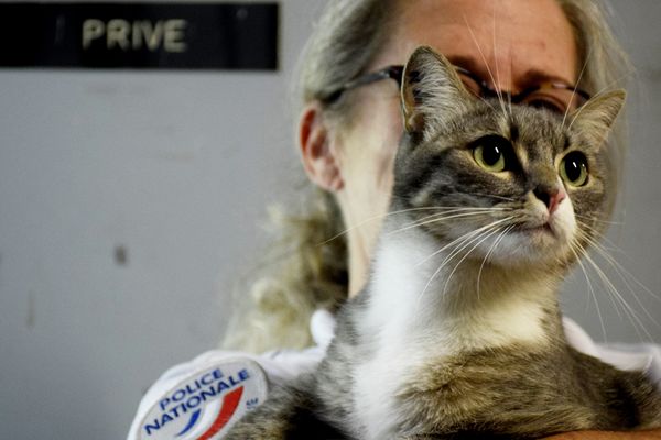 Adoptée deux ans plus tôt, “TN360” est devenue la mascotte du poste de police du commissariat de Vaulx-en-Velin.