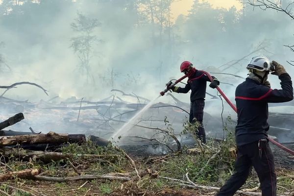 Incendie dans une forêt de Selongey (Côte-d'Or), le 19 juin 2022