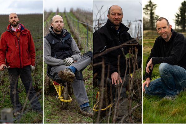 Quatre agriculteurs dans le Sézannais ont entrepris leur conversion à l'agriculture biologique en 2020.