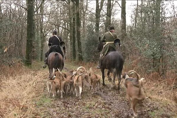 La chasse à courre, une tradition très ritualisée