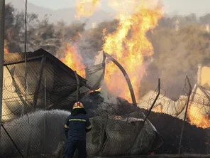 Un pompier tente d'éteindre l'incendie à Pentali, au nord d'Athènes, le 12 août 2024.