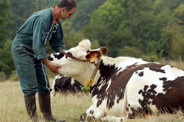 De quels agriculteurs, de quelle condition animale, de quelle alimentation voulons nous, le parlement national débat de l'agriculture du futur