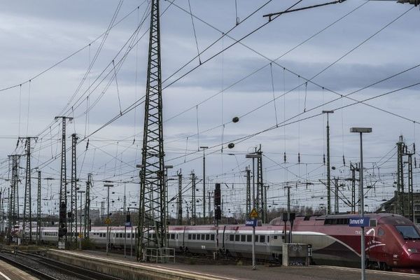 Le réseau ferroviaire emprunté par les TGV Thalys souffre de la chaleur.