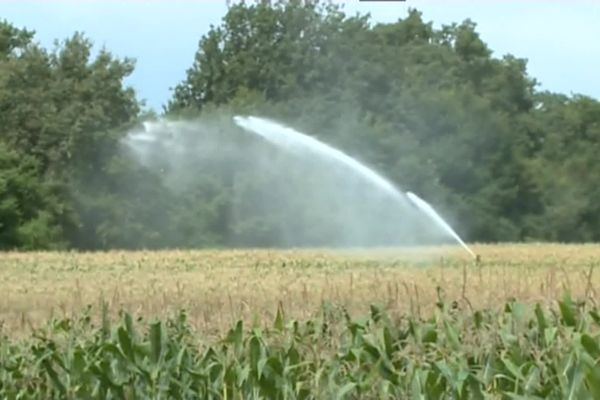 L'irrigation de plus en plus surveillée et restreinte en raison des sécheresses à répétition