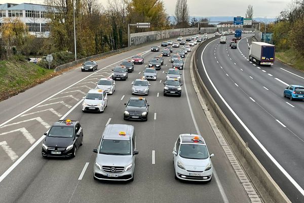 Le 27 novembre 2023, les taxis strasbourgeois étaient en "opération escargot" sur l'A35 près de Strasbourg (Bas-Rhin) pour réclamer de pouvoir utiliser les nouvelles voies de bus rapides.