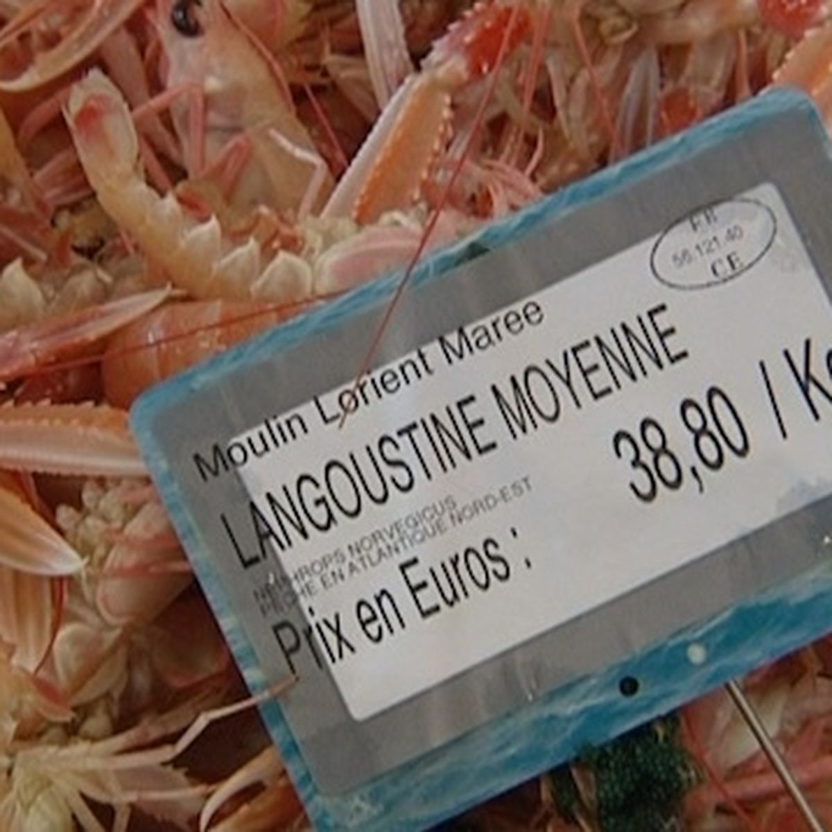 Flambee Du Prix De La Langoustine