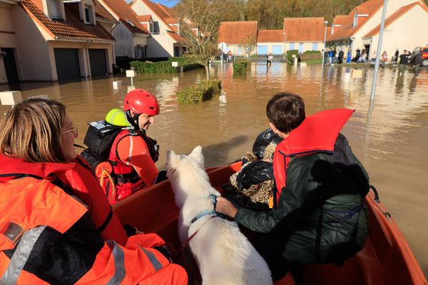 Les sapeurs-pompiers de l'Oise ont secouru de nombreux animaux depuis le début des inondations.