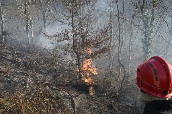 L’incendie est parti d’un écobuage mal maîtrisé par un particulier et non déclaré sur la commune de Fontanges, dans le Cantal, jeudi 3 janvier. Il nettoyait un petit bois lorsque le vent s’est levé, l’incendie s’est propagé sur un peu plus d‘un kilomètre. 