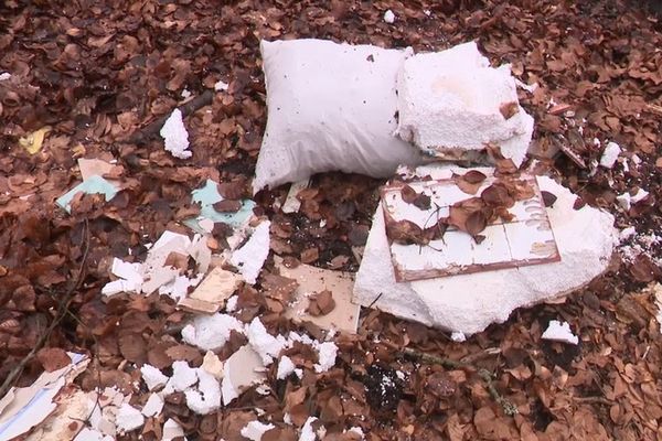 VIDEO. Chasse aux dépôts sauvages de déchets à la forêt de Fontainebleau