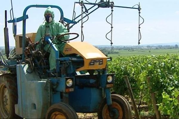 Les viticulteurs ont décidé de traiter la vigne par une rampe à pandillard