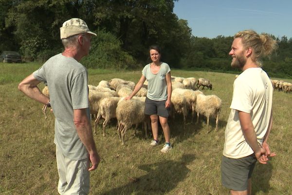 Matthieu Buis et Mélusine Masson étaient salariés du Conservatoire des espaces naturels quand ils ont souhaité s'installer comme paysans en agriculture biologique à Blanzac. Ils se sont portés acquéreurs de trente-trois hectares de terres agricoles et d'un troupeau de soixante brebis. Un cheptel financé grâce au prêt à taux zéro de l'Oseille Citoyenne.