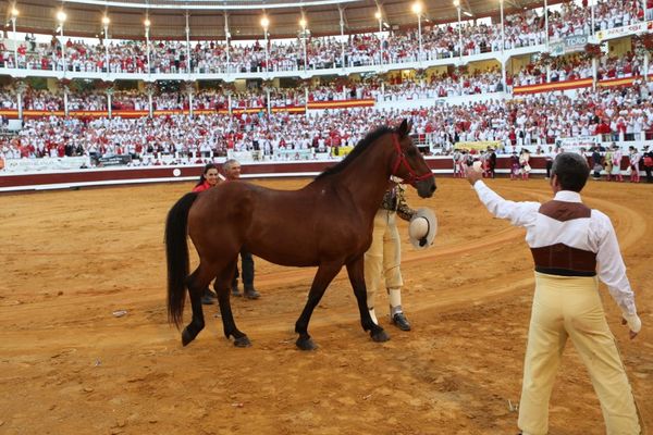 Le couple Bonijol derrière leur cheval vedette "Tabarly", le héros de cette mémorable corrida de Dax. Au premier rang le picador Francisco Vallejo, blessé à la main droite. 