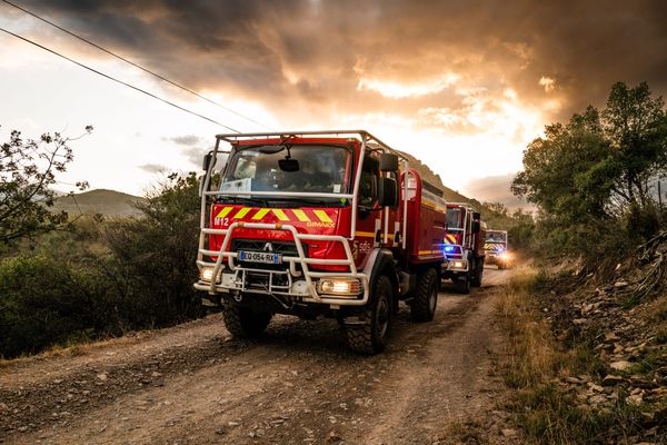 L'important incendie au pied du Canigou est fixé grâce à l'intervention de très gros moyens : 12 avions dont 7 canadairs et 800 pompiers mobilisés.