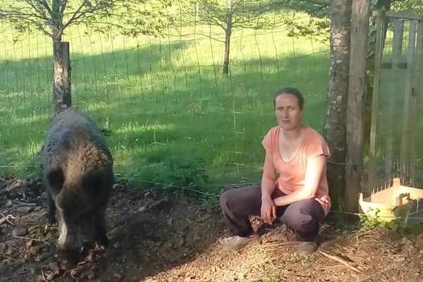 Maurice se porte toujours bien auprès de Sylvia qui l’a recueilli il y a 6 ans