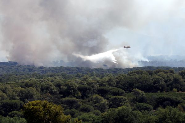 Un canadair en action dans le massif des Maures, dans le département du Var, où des incendies font rage, le 17 août 2021.