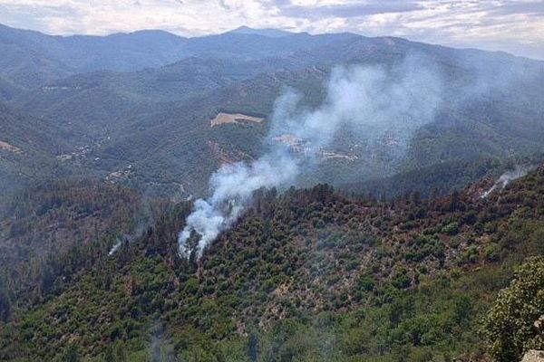 Saint-André-de-Valborgne (Gard) - l'incendie a détruit 110 hectares de forêt en Cévennes - 31 juillet 2015.